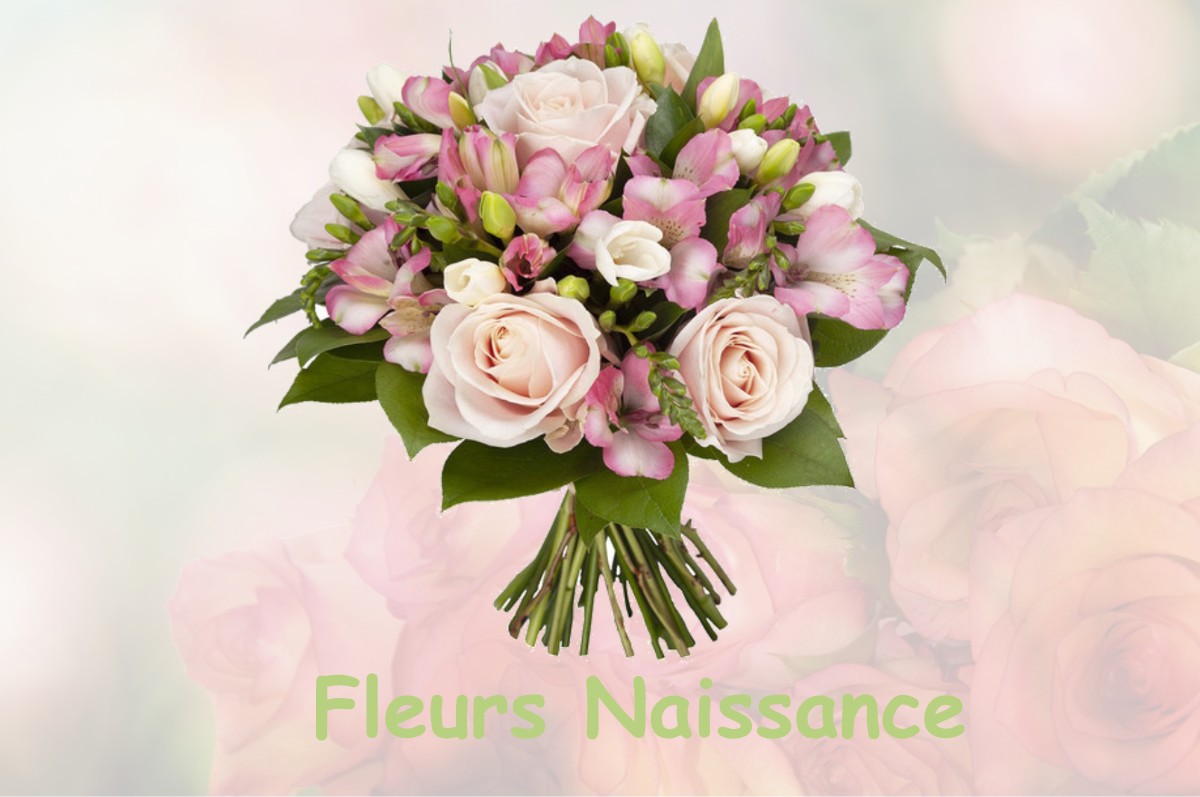 fleurs naissance VASSINCOURT