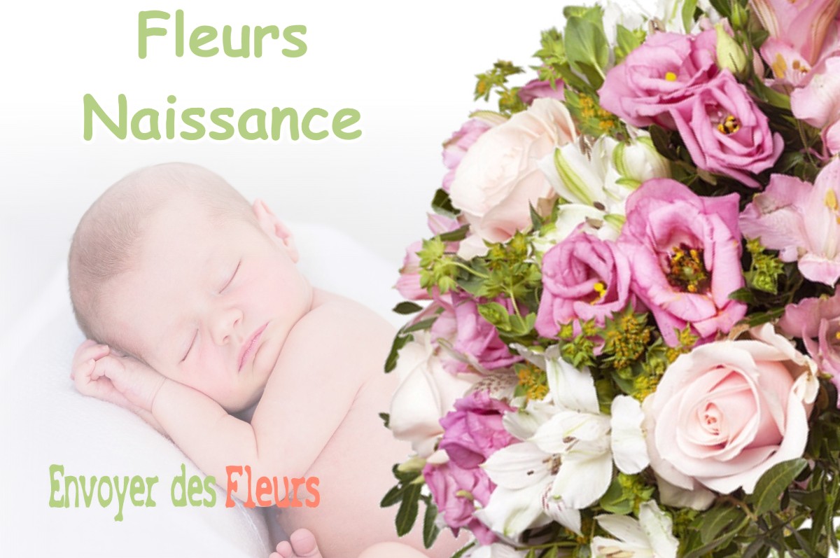 lIVRAISON FLEURS NAISSANCE à VASSINCOURT